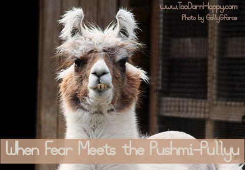 When Fear Meets the Pushmi-Pullyu - Too Darn Happy