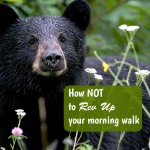Stamina Challenge Day 3: How not to rev up your morning walk