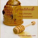 Saturday Sips: Gratitude, the ultimate life sweetener