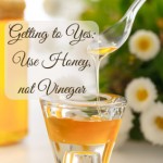 Getting to yes: Use honey not vinegar