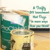 thrifty diy investment