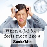 When a God Wink feels more like a Snakebite